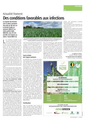 Des conditions favorables aux infections Des conditions favorables aux infections