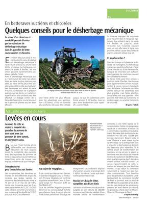 Quelques conseils pour le désherbage mécanique Quelques conseils pour le désherbage mécanique