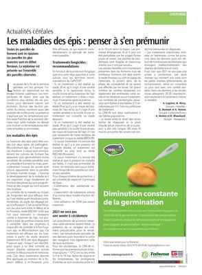 Les maladies des épis: penser à s’en prémunir Les maladies des épis: penser à s’en prémunir