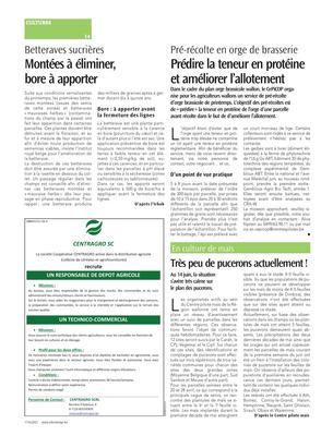 Très peu de pucerons actuellement! Très peu de pucerons actuellement!