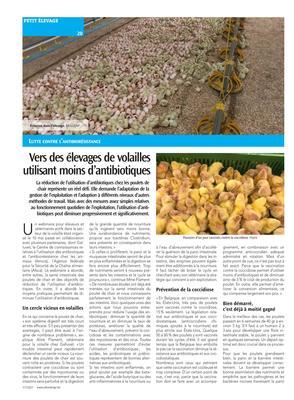 Vers des élevages de volailles utilisant moins d’antibiotiques Vers des élevages de volailles utilisant moins d’antibiotiques