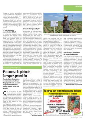 Pucerons: la période à risques prend fin Pucerons: la période à risques prend fin
