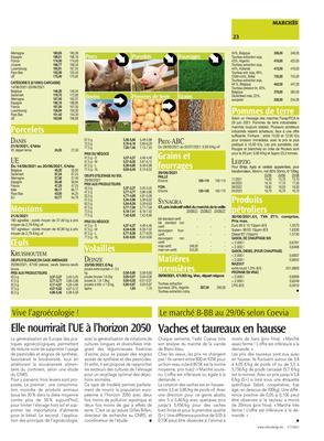 Vaches et taureaux en hausse Vaches et taureaux en hausse