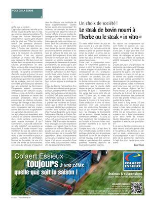 Le steak de bovin nourri à l’herbe ou le steak «in vitro» Le steak de bovin nourri à l’herbe ou le steak «in vitro»