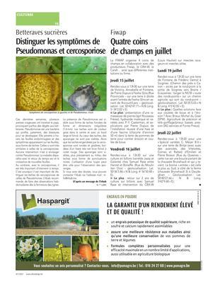 Quatre coinsde champs en juillet Quatre coinsde champs en juillet