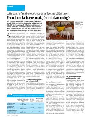 Tenir bon la barre malgré un bilan mitigé Tenir bon la barre malgré un bilan mitigé