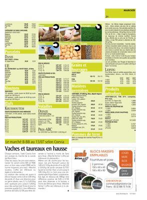 Vaches et taureaux en hausse Vaches et taureaux en hausse