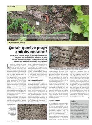 Que faire quand son potager a subi des inondations?