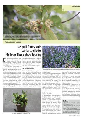Ce qu’il faut savoirsur la cueillettede leurs fleurs et/ou feuilles Ce qu’il faut savoirsur la cueillettede leurs fleurs et/ou feuilles