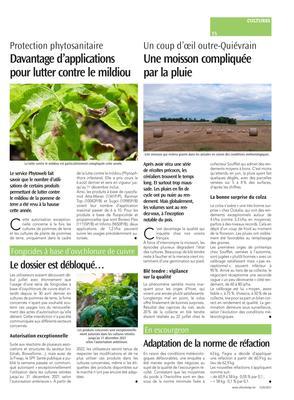 Une moisson compliquée par la pluie