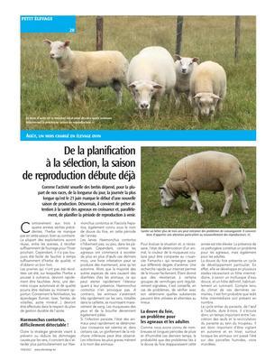 De la planificationà la sélection, la saisonde reproduction débute déjà De la planificationà la sélection, la saisonde reproduction débute déjà