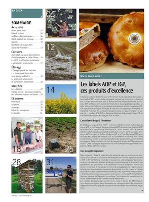 Actualité Actualité
