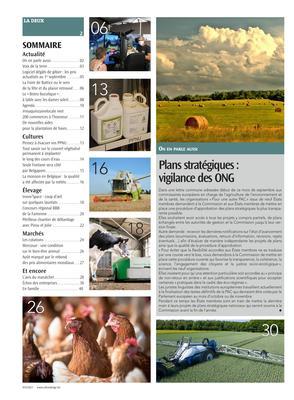 Plans stratégiques: vigilance des ONG Plans stratégiques: vigilance des ONG
