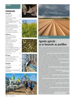 Actualité Actualité