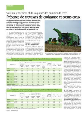 Présence de crevasses de croissance et cœurs creux Présence de crevasses de croissance et cœurs creux
