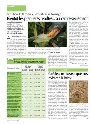 Céréales: récoltes européennes révisées à la baisse Céréales: récoltes européennes révisées à la baisse