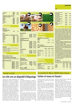 Vaches et veaux en hausse !