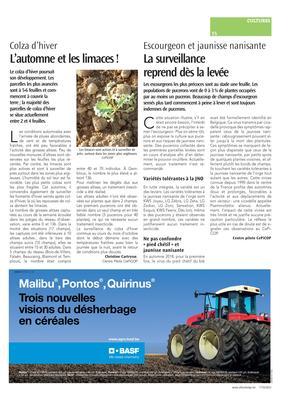 L’automne et les limaces! L’automne et les limaces!