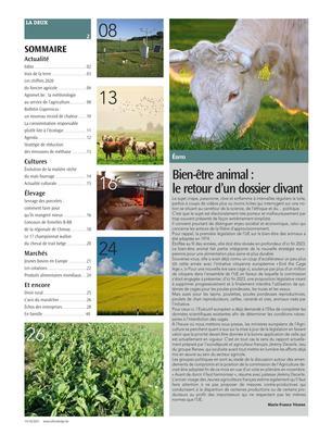 Bien-être animal: le retour d’un dossier clivant Bien-être animal: le retour d’un dossier clivant