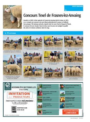 Concours Texel de Frasnes-lez-Anvaing Concours Texel de Frasnes-lez-Anvaing