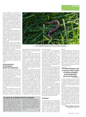 Un quart de la biodiversité de la planète Un quart de la biodiversité de la planète