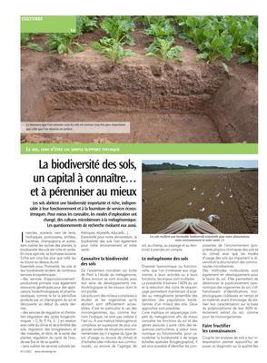 La biodiversité des sols,un capital à connaître…et à pérenniser au mieux La biodiversité des sols,un capital à connaître…et à pérenniser au mieux