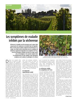 Les symptômes de maladie inhibés par la sécheresse Les symptômes de maladie inhibés par la sécheresse