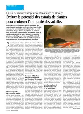 Évaluer le potentiel des extraits de plantespour renforcer l’immunité des volailles Évaluer le potentiel des extraits de plantespour renforcer l’immunité des volailles