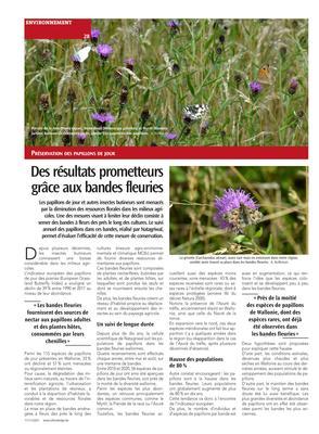 Des résultats prometteurs grâce aux bandes fleuries Des résultats prometteurs grâce aux bandes fleuries