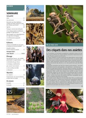 Actualité Actualité
