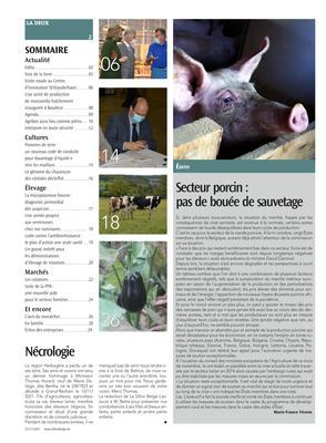Secteur porcin: pas de bouée de sauvetage Secteur porcin: pas de bouée de sauvetage