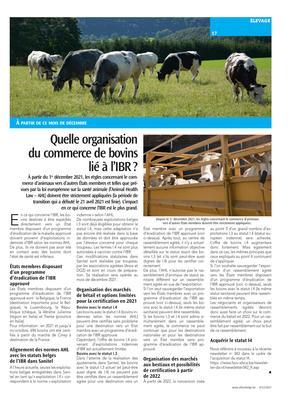 Quelle organisationdu commerce de bovinslié à l’IBR? Quelle organisationdu commerce de bovinslié à l’IBR?
