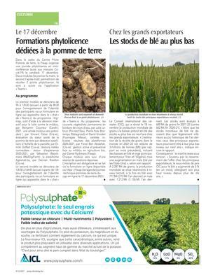 Les stocks de blé au plus bas Les stocks de blé au plus bas