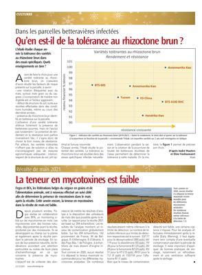 Qu’en est-il de la tolérance au rhizoctone brun? Qu’en est-il de la tolérance au rhizoctone brun?
