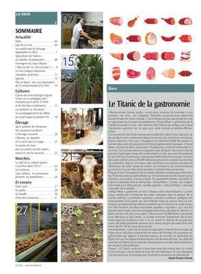 Actualité Actualité