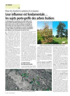 Leur influence est fondamentale…les sujets porte-greffe des arbres fruitiers Leur influence est fondamentale…les sujets porte-greffe des arbres fruitiers