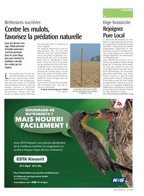 Rejoignez Pure Local Rejoignez Pure Local