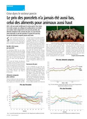 Le prix des porcelets n’a jamais été aussi bas,celui des aliments pour animaux aussi haut Le prix des porcelets n’a jamais été aussi bas,celui des aliments pour animaux aussi haut