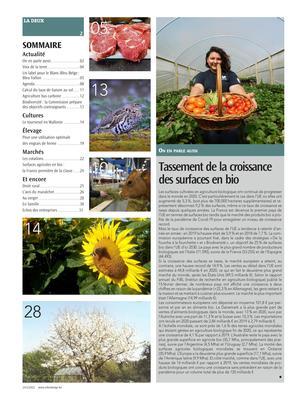 Tassement de la croissance des surfaces en bio Tassement de la croissance des surfaces en bio
