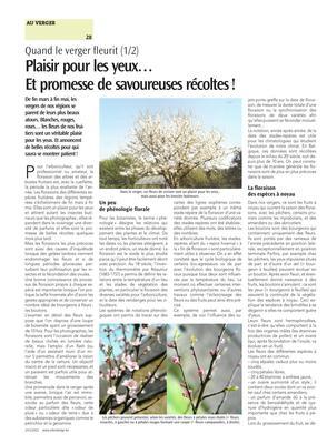 Plaisir pour les yeux…Et promesse de savoureuses récoltes! Plaisir pour les yeux…Et promesse de savoureuses récoltes!