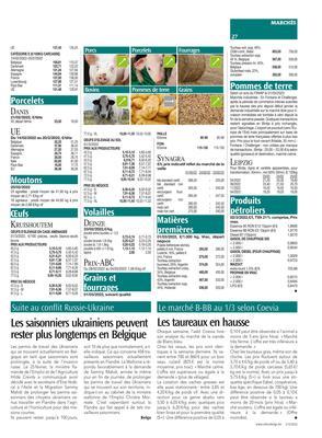 Les taureaux en hausse