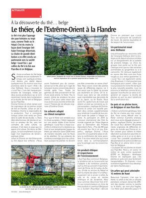 Le théier, de l’Extrême-Orient à la Flandre Le théier, de l’Extrême-Orient à la Flandre