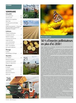 Actualité Actualité