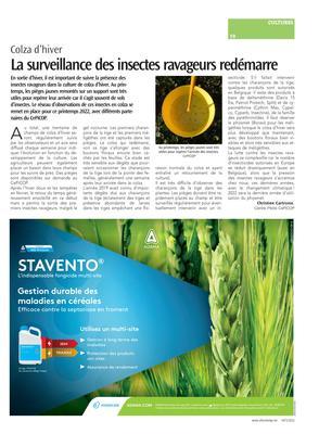 La surveillance des insectes ravageurs redémarre La surveillance des insectes ravageurs redémarre