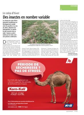 Des insectes en nombre variable Des insectes en nombre variable
