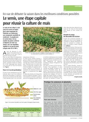 Le semis, une étape capitale pour réussir la culture de maïs Le semis, une étape capitale pour réussir la culture de maïs