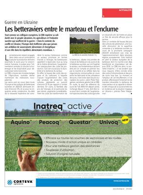 Les betteraviers entre le marteau et l’enclume Les betteraviers entre le marteau et l’enclume