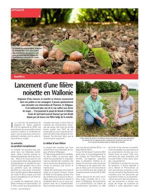 Lancement d’une filière noisette en Wallonie Lancement d’une filière noisette en Wallonie