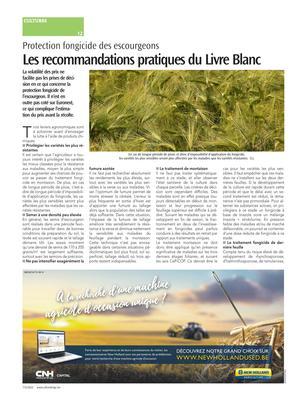 Les recommandations pratiques du Livre Blanc Les recommandations pratiques du Livre Blanc