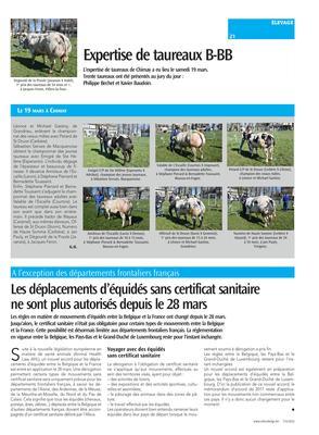 Expertise de taureaux B-BB Expertise de taureaux B-BB